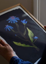 Calara Schicketanz - Night Flower