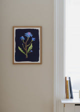 Calara Schicketanz - Night Flower