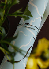 Frankie Penwill - White Roses