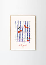 Nynne Rosenvinge - Sept Cerises