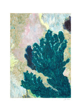 Sofie Rebecca Iversen - Vinca