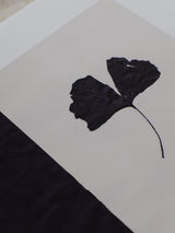 Ana Frois - Black Gingko