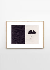 Ana Frois - Black Gingko