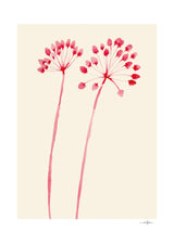 Ana Frois - Flowers 02