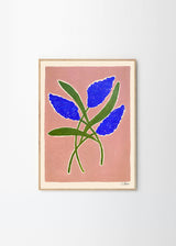 Carla Llanos - Butterfly Bush