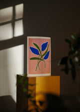 Carla Llanos - Butterfly Bush