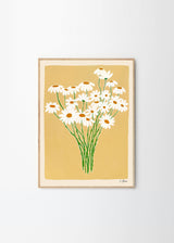 Carla Llanos - Daisies