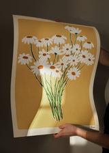 Carla Llanos - Daisies