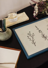 Chloe Purpero Johnson - Three Friendly Bushels