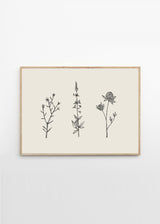 Chloe Purpero Johnson - Three Friendly Bushels