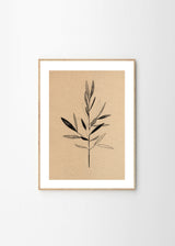 Ekaterina Koroleva - Olive