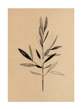 Ekaterina Koroleva - Olive