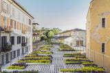 The Gardens of Eden