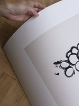 Lena Wigers - Grapes