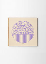 Little Detroit - Bows and Stribes