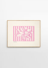 Little Detroit - Lotus No 01