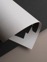 Malene Birger - Tree Study No 2