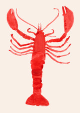 Marina García Fernández - Langosta