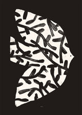 Matías Larraín  - Forest Bird