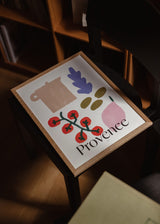 Matías Larraín  - Provence