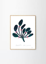 Nygårds Maria Bengtsson - Agapanthus