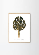 Nygårds Maria Bengtsson - Magnolia