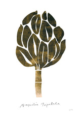 Nygårds Maria Bengtsson - Magnolia