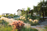 The Gardens of Eden