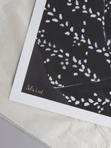 Sofia Lind - Mirror Mirror