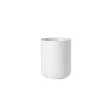 Ume Toothbrush Mug