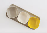 Small Tray