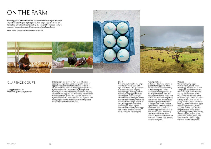 Issue#15 Egg