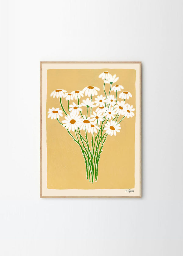 Carla Llanos - Daisies
