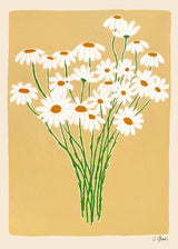 Carla Llanos - Daisies