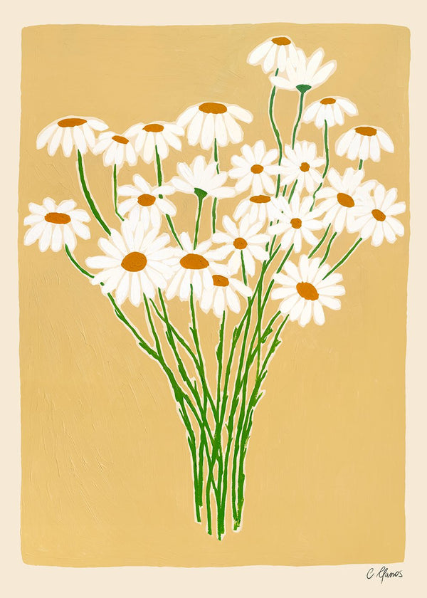 Carla Llanos - Daisies