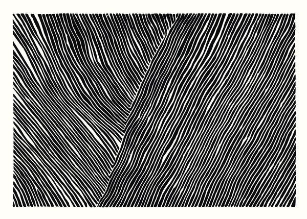 Rebecca Hein - The Line No. 01