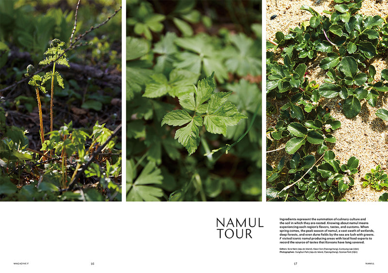 Issue#16 Namul