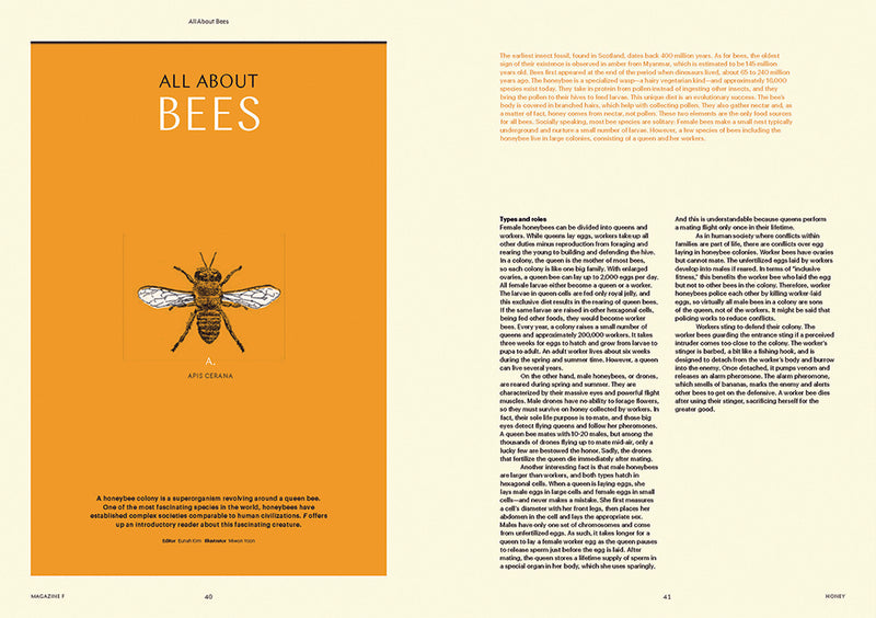 Issue#08 Honey