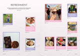 Issue#17 Ice Cream
